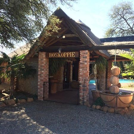 Boskoppie Lion & Tiger Reserve Kroonstad Bagian luar foto