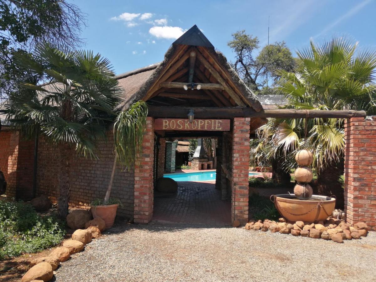 Boskoppie Lion & Tiger Reserve Kroonstad Bagian luar foto