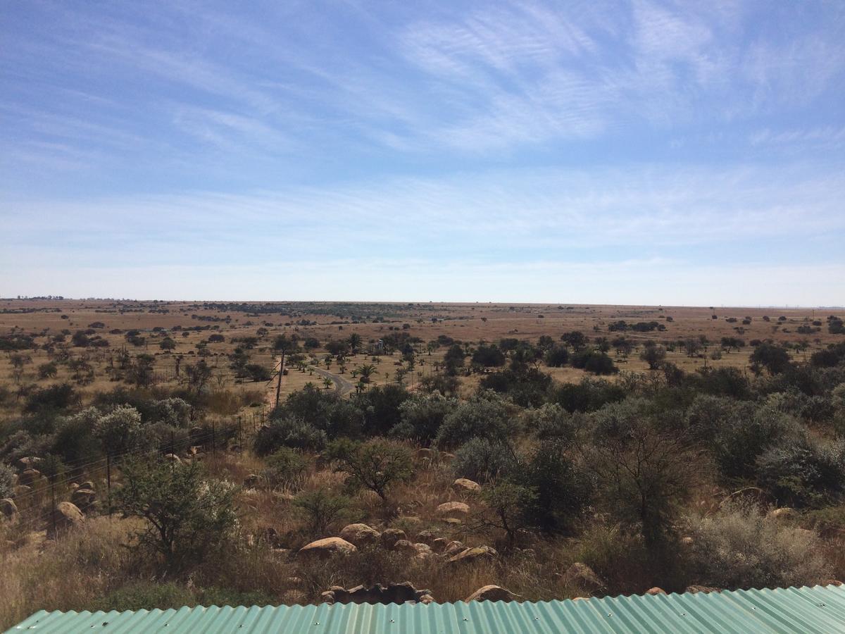 Boskoppie Lion & Tiger Reserve Kroonstad Bagian luar foto