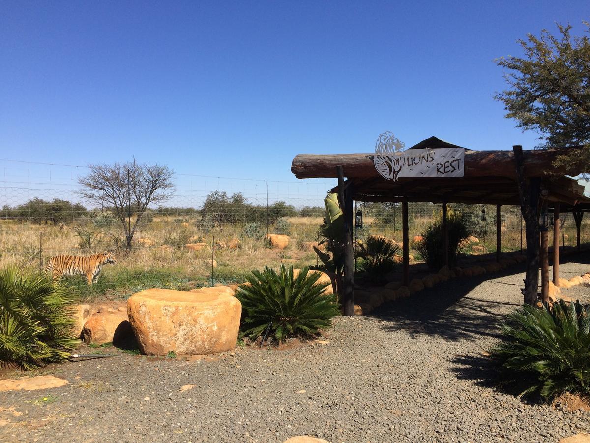 Boskoppie Lion & Tiger Reserve Kroonstad Bagian luar foto