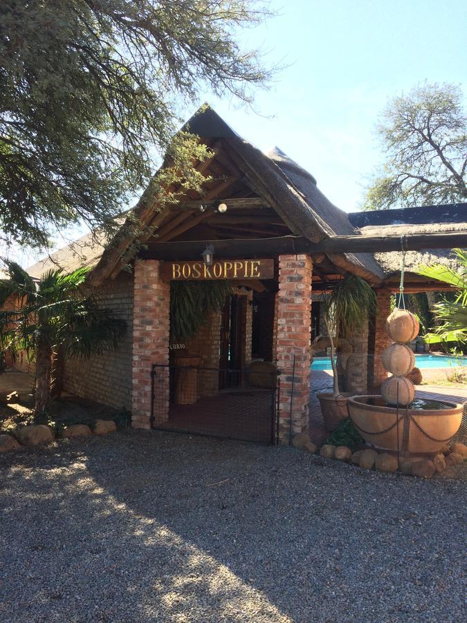Boskoppie Lion & Tiger Reserve Kroonstad Bagian luar foto